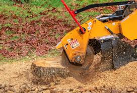 Best Tree Risk Assessment  in Wildwood, NJ